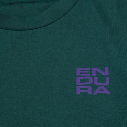 Camiseta ENDURA STACKED LOGO GRAPHIC Teal