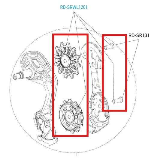 CAMPAGNOLO Bujes de cambio SUPER-RECORD 12V WRL DISC