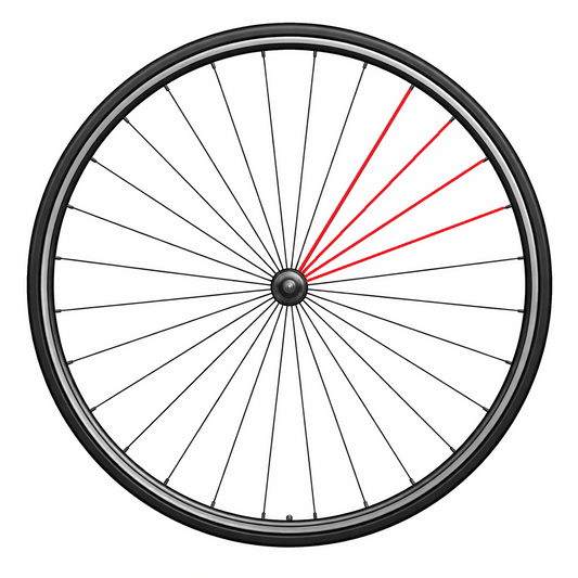 CAMPAGNOLO FULL SPOKE REAR LEFT ZONDA (4 UDS.)