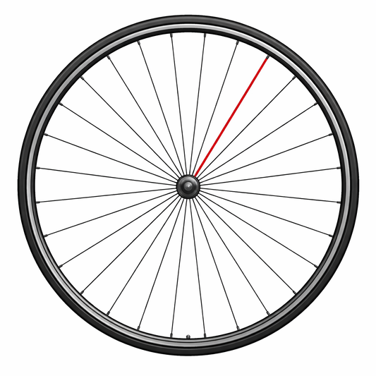 CAMPAGNOLO COMPLETO RADIOS DELANTEROS SHAMAL C17 (1 UD.)