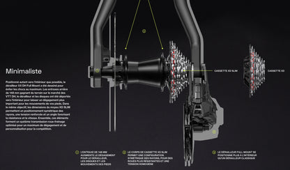 Cassette 7V SRAM XS-797 T-Type DH para Cuerpo XD