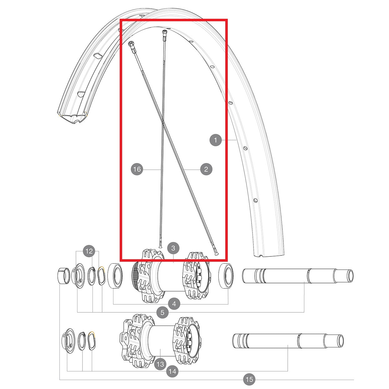 KIT 14 TRASERO LADO NO MOTRIZ EDEEMAX 29'' RADIOS PLANOS 305 + TETÓN