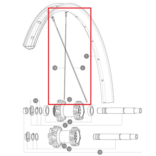 KIT 14 TRASERO LADO NO MOTRIZ EDEEMAX 29'' RADIOS PLANOS 305 + TETÓN