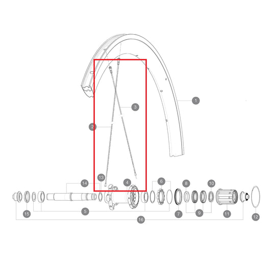 KIT 12 RADIOS 277 INOX BUTTED AERO + RACOR ALU + ARANDELA