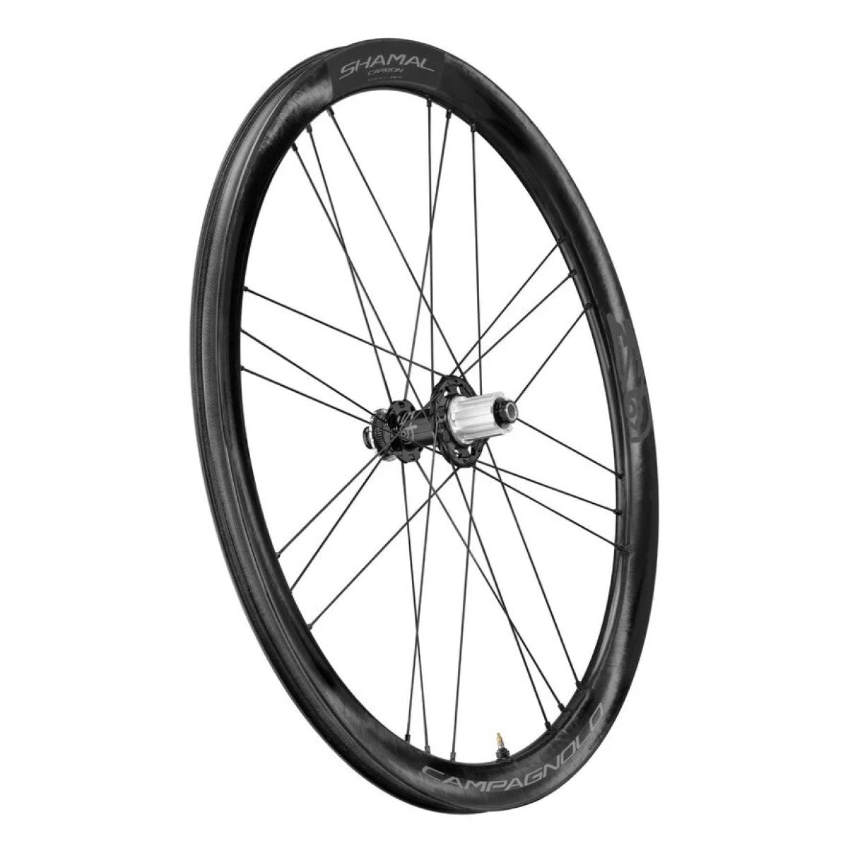 Rueda trasera CAMPAGNOLO SHAMAL DISC Tubeless Ready (Center Lock)