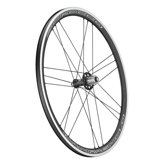 Rueda trasera CAMPAGNOLO SCIROCCO 35 C17 con neumáticos