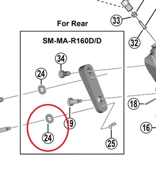 SHIMANO Arandela Para Adaptador 160mm