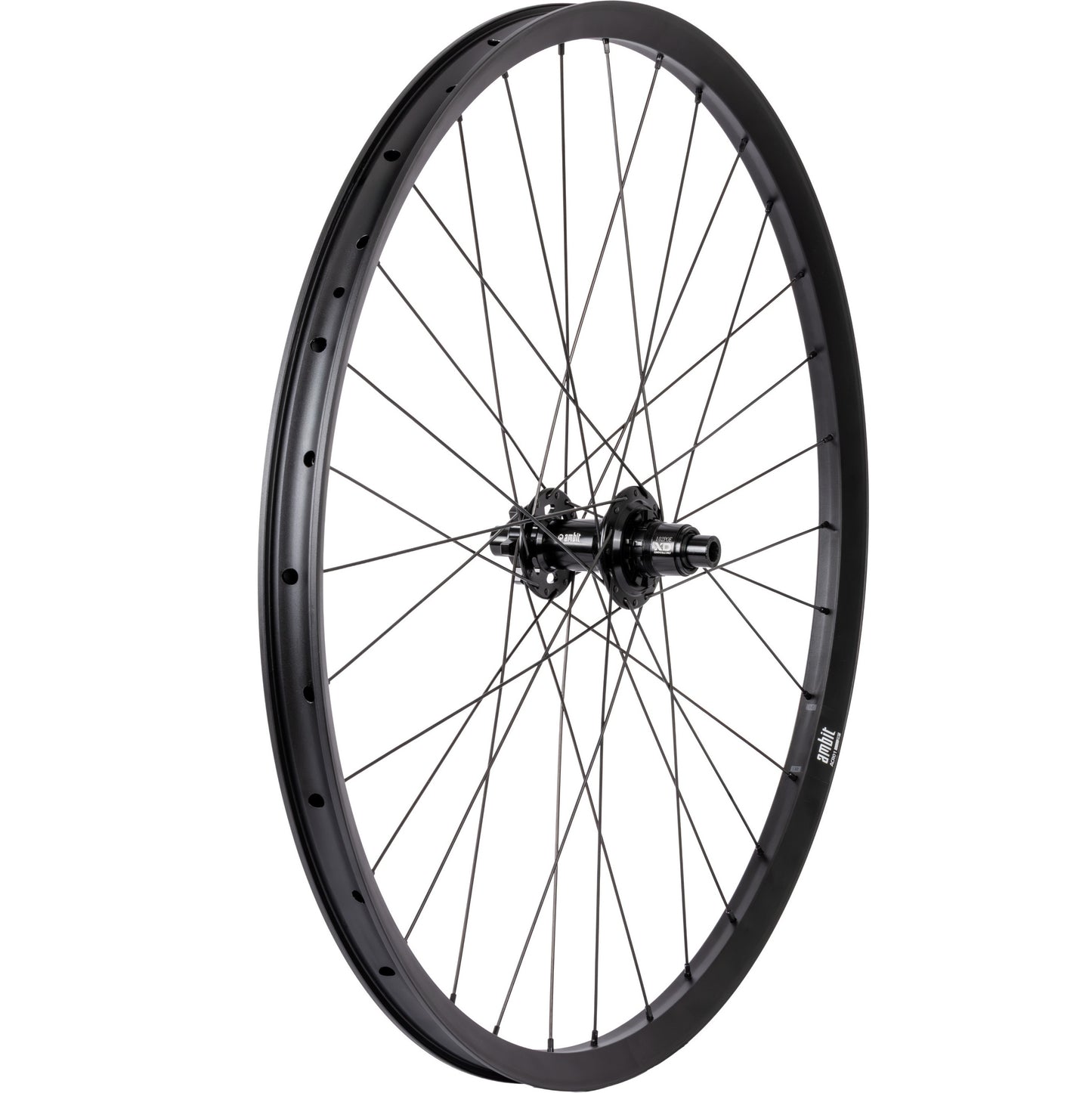 Rueda trasera AMBIT REALM 29" 12x148mm Boost POE 102