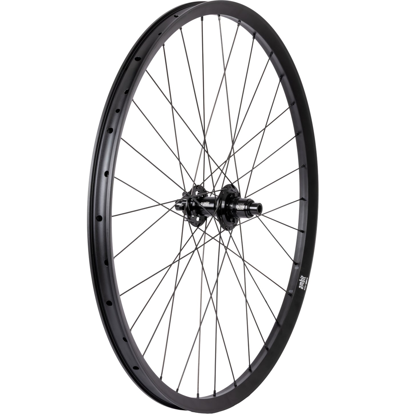 Rueda trasera AMBIT REALM 29" 12x148mm Boost POE 612