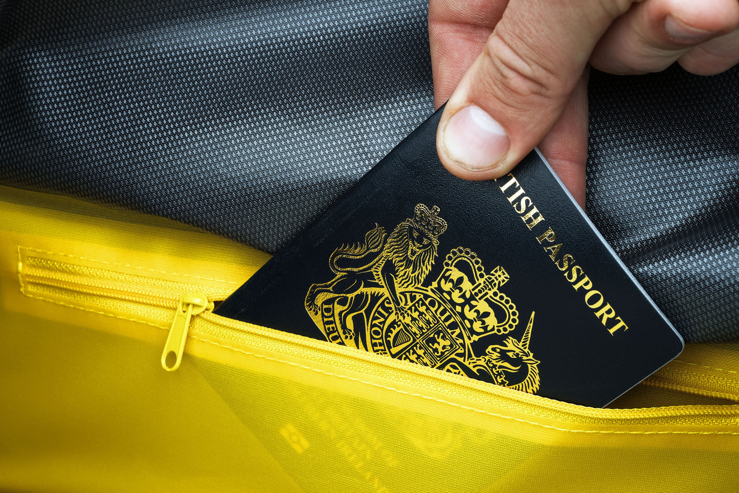 APIDURA EXPEDITION FRONT RACK PACK 20 L Bolsa manillar Negro