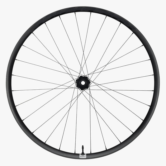 Rueda delantera RACE FACE ERA SL Carbon 29" Eje 15x110 mm Boost