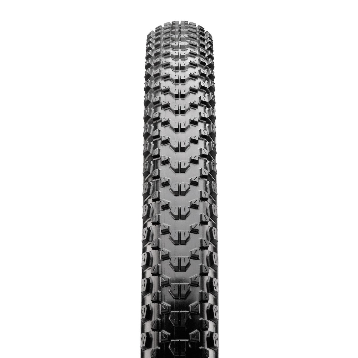 Neumático MAXXIS IKON 29x2.35 Exo MaxxSpeed Tubeless Ready Soft Black