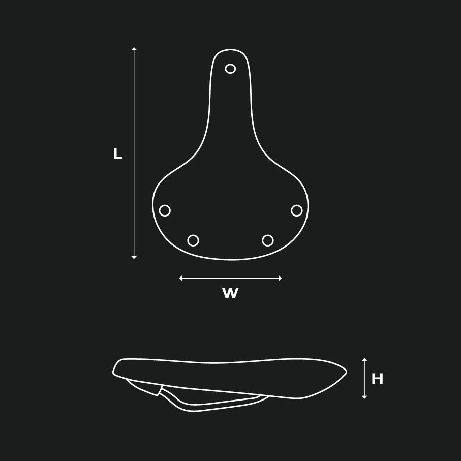 BROOKS CAMBIUM C67 Sillín Negro