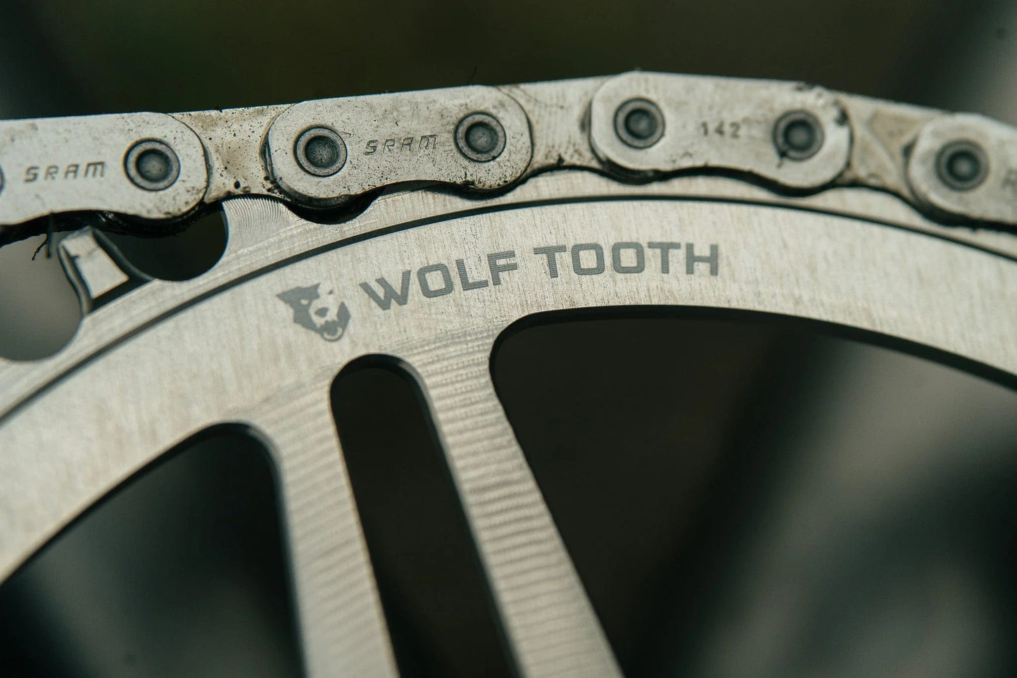 WOLF TOOTH BOOST Direct Mount SRAM Raw Silver Mono plato