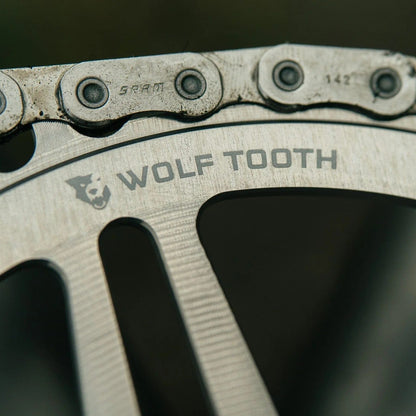 Plato Mono WOLF TOOTH DROP-STOP B GRAVEL DM 8 Tornillos Sram Raw Silver