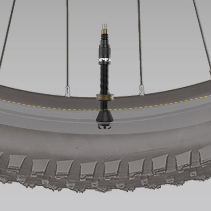 Lote de 2 Válvulas Tubeless TOPEAK TURBOFLOW Negro