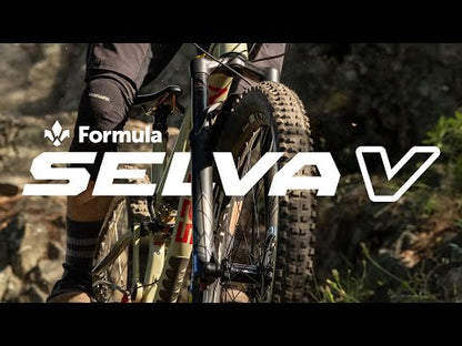 Horquilla FORMULA SELVA V 29" Eje 15x110mm Boost Negro