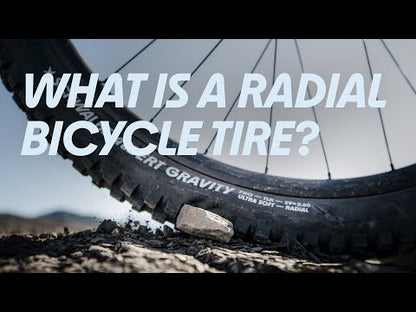 Neumático SCHWALBE ALBERT 27.5x2.50 TRAIL PRO ADDIX ULTRASOFT RADIAL Tubeless Ready Flexible