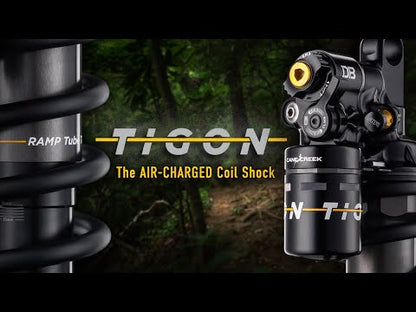 Amortiguador CANE CREEK TIGON Air/Coil Trunnion