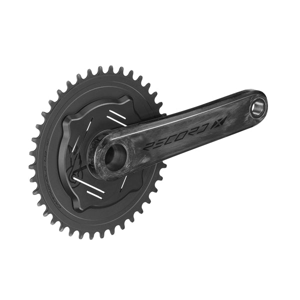 Bielas CAMPAGNOLO RECORD X WRL 13V