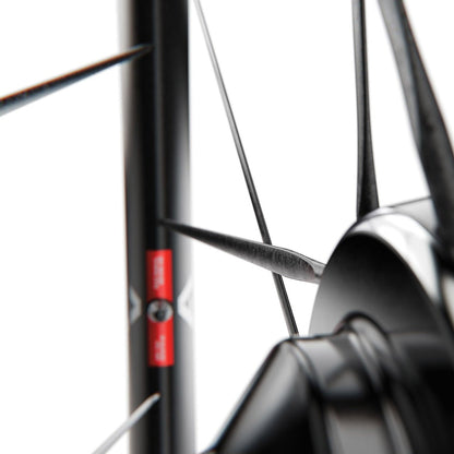 Par de Ruedas DT SWISS ARC 1100 DICUT WTS 55 Tubeless Ready (Center Lock)