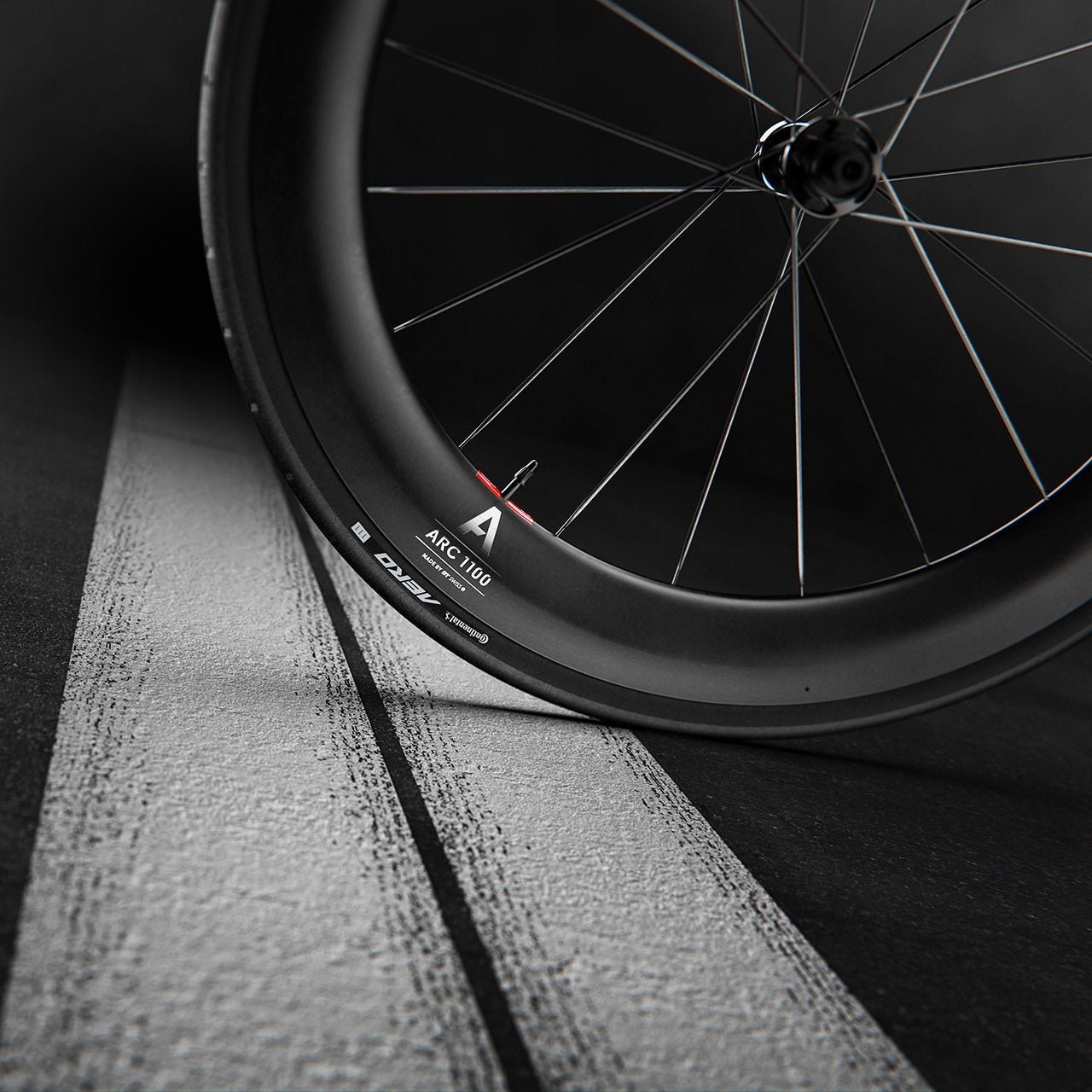 Par de ruedas DT SWISS ARC 1100 DICUT WTS 55 Tubeless Ready (Center Lock)