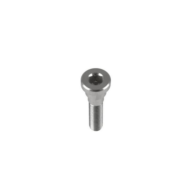 HOPE Stem Cap Tornillo Plata