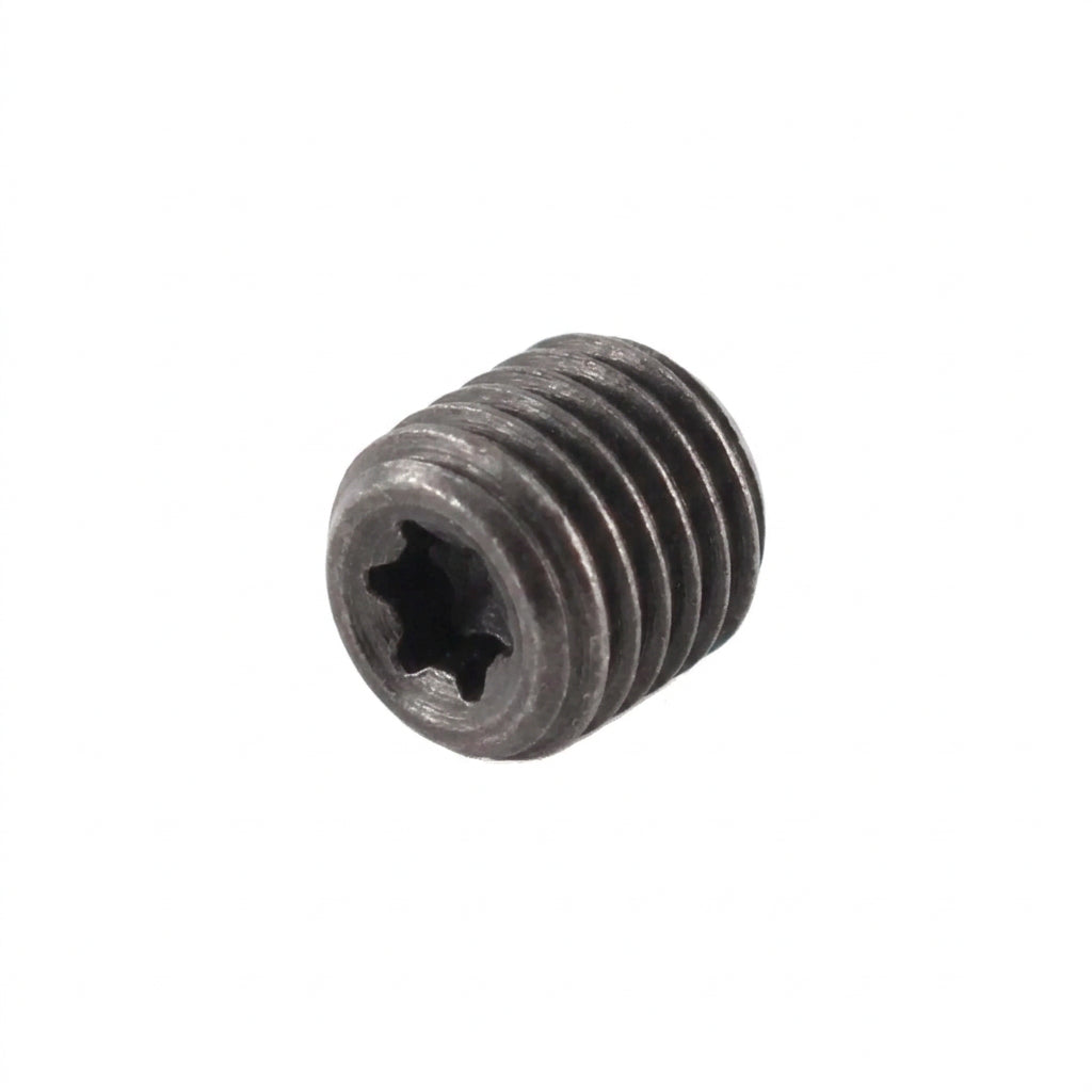 Tornillo de purga HAYES (x1)